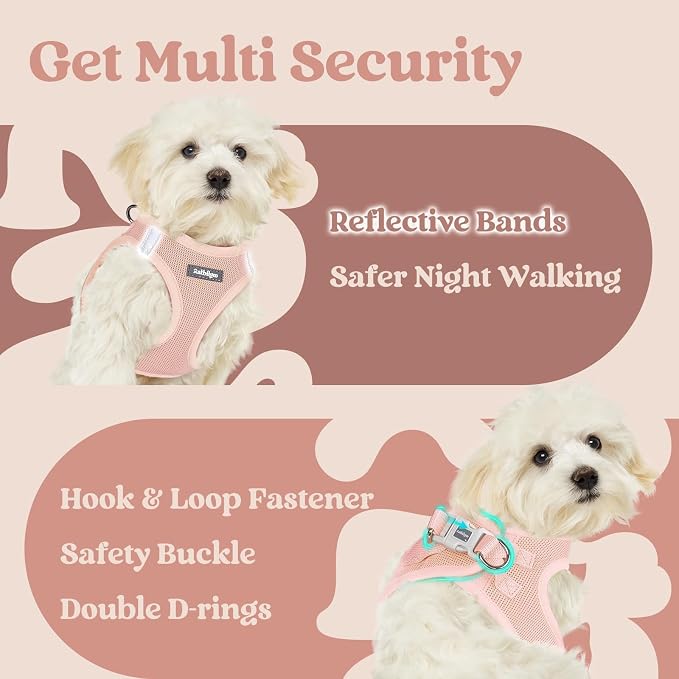 rabbitgoo Step-in Small Dog Harness, Puppy Vest for Small Medium Sized Pet | Easy Put on and off, Lightweight, Soft, Breathable Quick-Dry Air Mesh for Comfortable Secure Walking, Pink XL