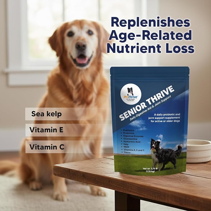 ProThrive Senior Dog Digestive & Joint Supplement - Supports Healthy Digestion, Immune System, and Joint Comfort for Aging Dogs, Advanced Relief 3.75 Lb