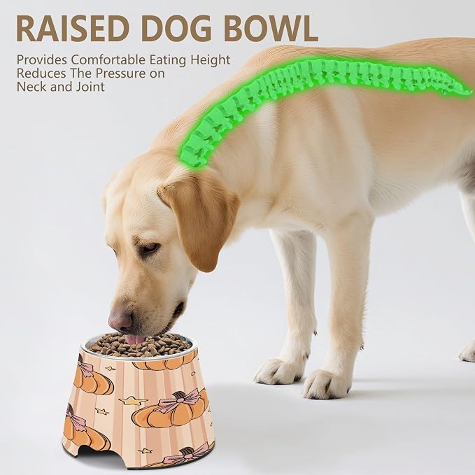 Blueangle Elevated Dog Bowls with Stainless Steel - Non-Slip 2.3 Cup High Capacity Pet Dish for Spinal Health & Pumpkins with Bows Design（154）