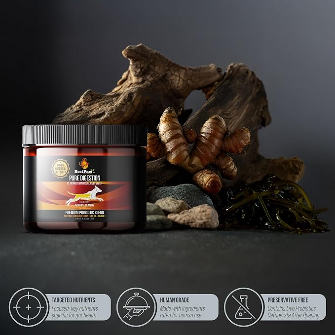 Best Paw Nutrition Probiotics for Dogs | Digestive Enzymes and Probiotics Powder | Beef Liver Flavor | Pumpkin, Turmeric and Prebiotic FOS | Gut Health Food Topper for Dogs and Cats | 6.5oz