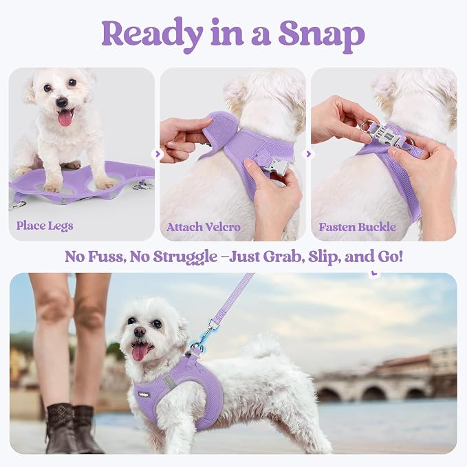 rabbitgoo Dog Harness Small Sized and Leash Set, Step-in Puppy Pet Vest | Light, Soft, Breathable Air Mesh, Easy on and Remove with Hook & Loop, Secure Reflective for Walking, Light Purple XXS