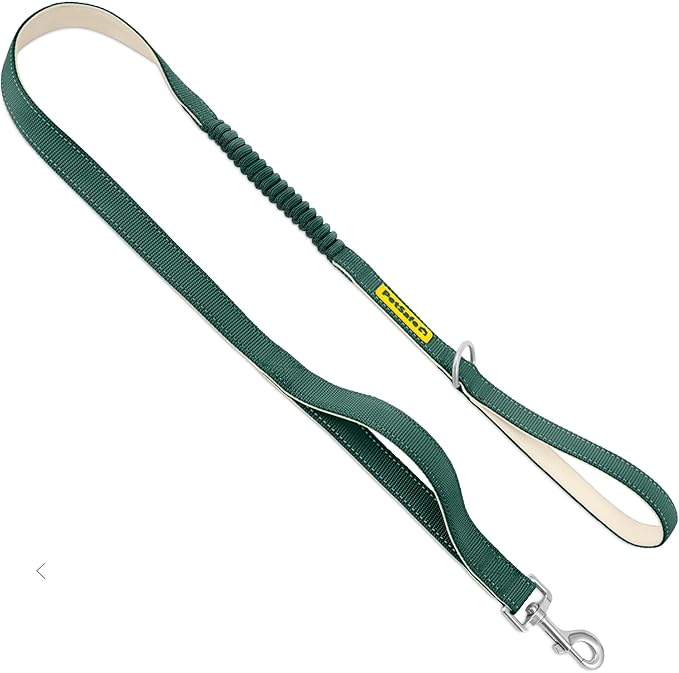PetSafe Comfort 4 ft Bungee Dog Leash, Green | Shock-Absorbing Bungee Flexes on Pulls, Dual Handles for Control, Reflective Stitching, Built-in D-Ring for Off-Leash Storage
