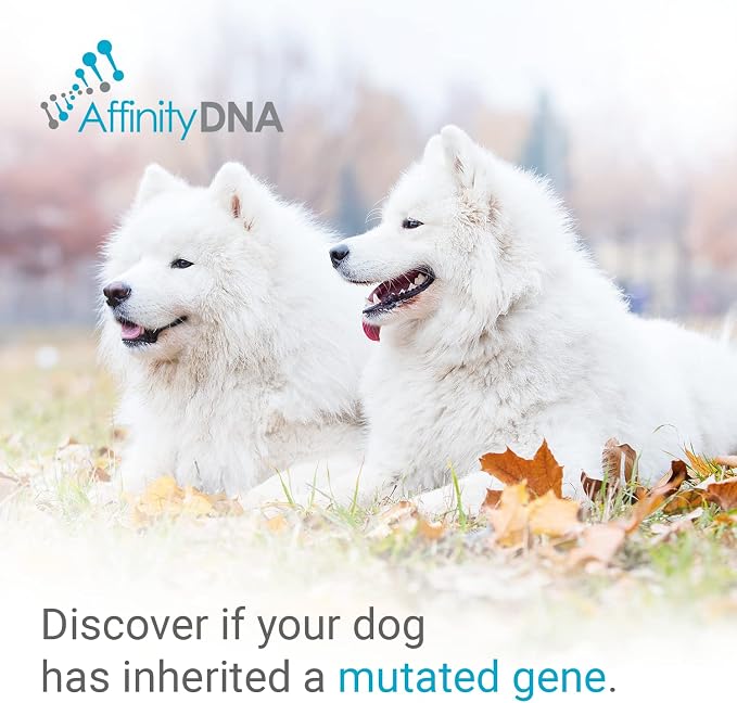 Dog Uric Acid DNA Test for Hyperuricosuria