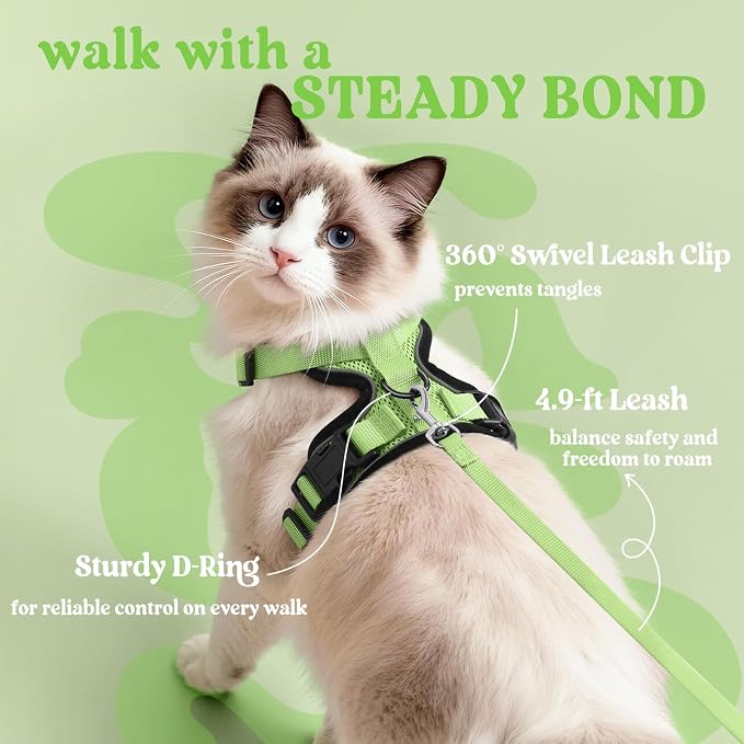 rabbitgoo Cat Harness and Leash Set, Escape Proof Vest, Light Green | Soft Breathable Mesh, Easy Adjustable Fit, Snap Buckles, Sturdy Clip, Reflective Strips, for Kittens & Small Cats Walks, Xxs