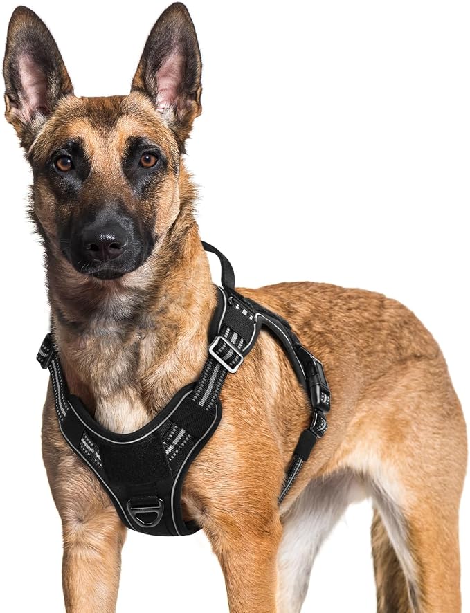 rabbitgoo Tactical Dog Harness for Large Dogs, No Pull Service Pet Vest | Military Molle System & Easy Control Handle, Adjustable and Reflective for Walking and Training, Black, X-Large