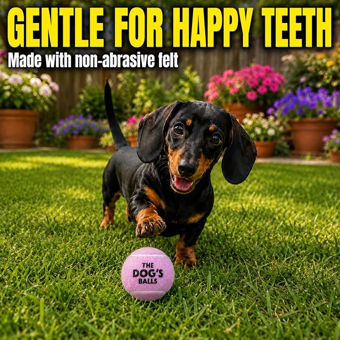 The Little Dog’s Balls Small Dog Tennis Balls 6-Pack Purple Floats in Water | Our fetch balls combine non-abrasive felt exterior and a thicker rubber core Durable Dog Toy for Outdoor Play & Training