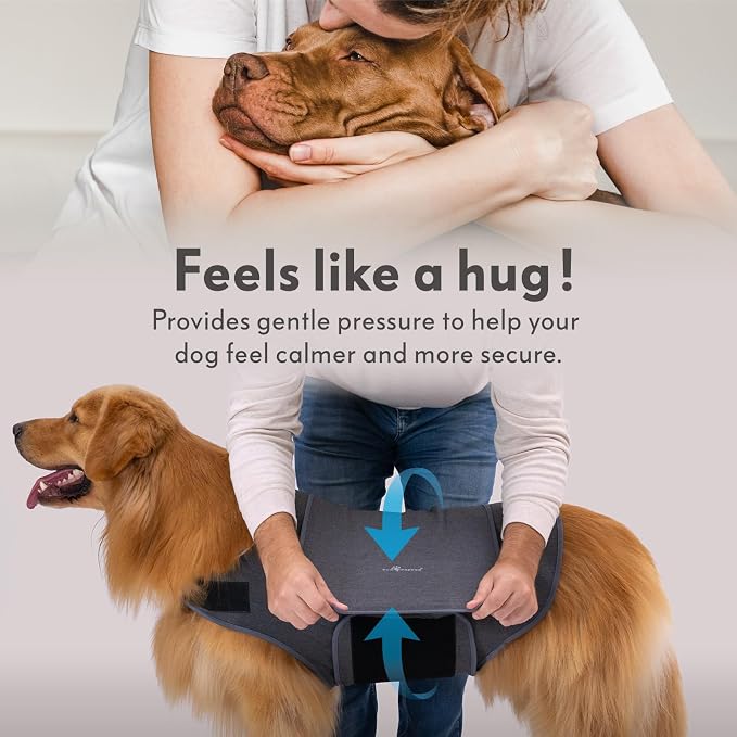 Paw Inspired Dog Anxiety Vest, Small, Small