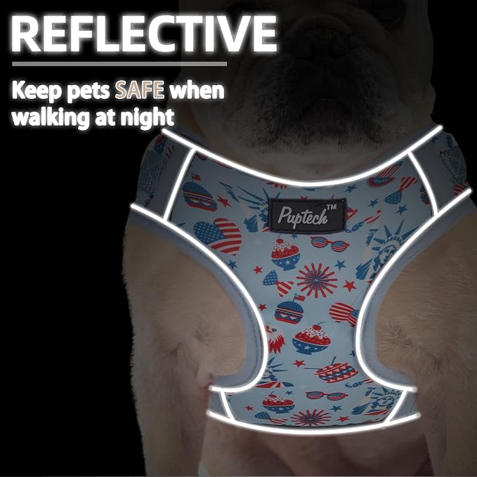 PUPTECK Dog Harness and Leash Set, No Pull Adjustable Pet Small Dog Harness, Reflective Soft Mesh Pet Vest, for Small Medium Dogs Walking, Light Blue, S