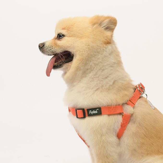 PUPTECK No Pull Dog Harness Small Sized Step-in Adjustable Puppy Vest | Soft Webbing Basic Halter with ID Tag for Outdoor Walking