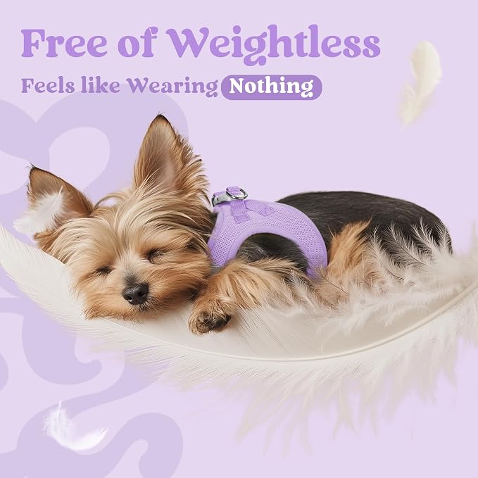 rabbitgoo Step-in Small Dog Harness, Puppy Vest for Small Medium Sized Pet | Easy Put on and off, Lightweight, Soft, Breathable Quick-Dry Air Mesh for Comfortable Secure Walking, Light Purple XL