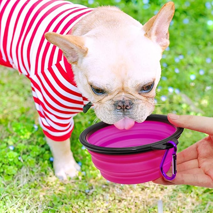 Dog Bowl Collapsible, 2 Pack, with Carabiners, Small, Green+Purple
