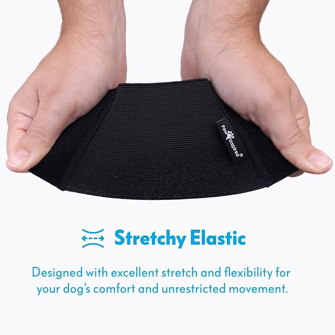 Paw Inspired Stay Put Dog Diaper Holder