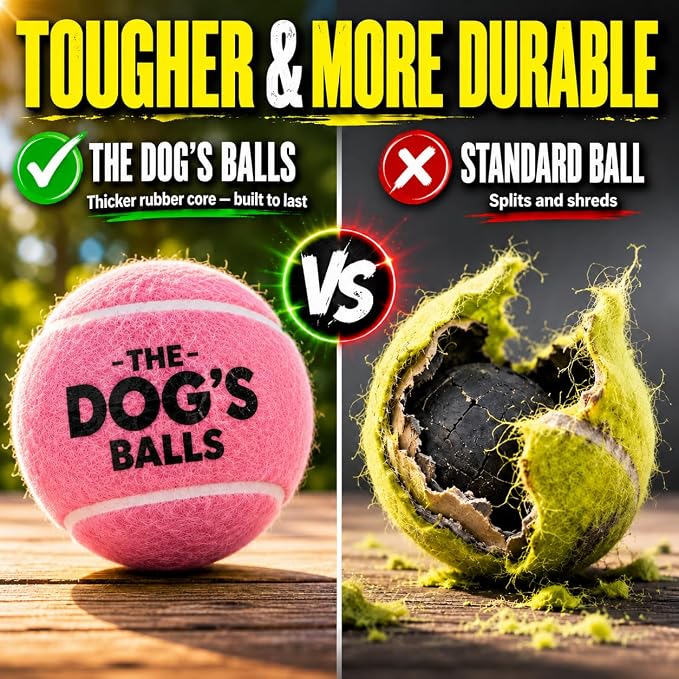 The Dog's Balls Dog Tennis Balls Tough 2.5" 12-Pack Pink Floats in Water | Our fetch balls combine non-abrasive felt exterior and a thicker rubber core Durable Dog Toy for Outdoor Play & Training