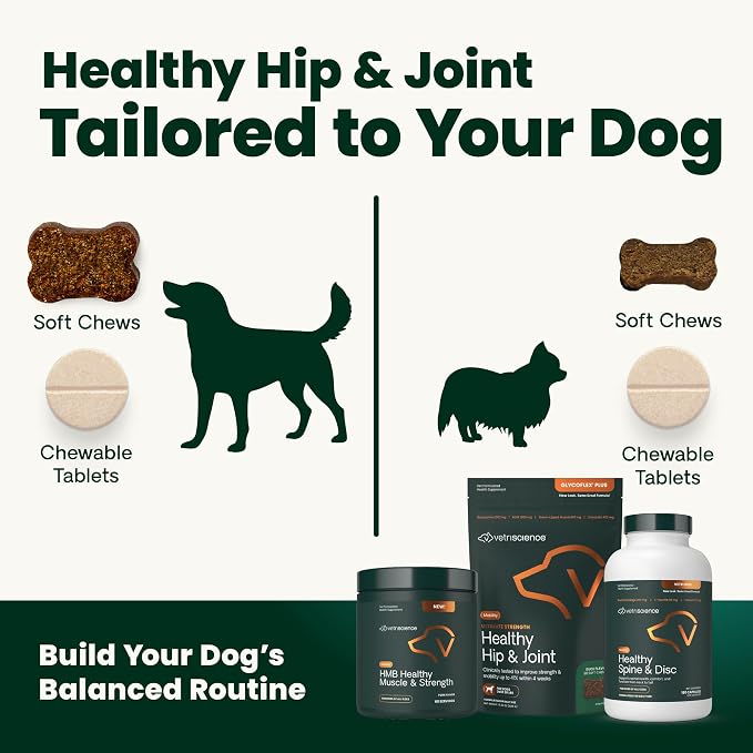 VetriScience Extra Strength Healthy Hip & Joint Chews, GlycoFlex Glucosamine and Green-Lipped Mussel Joint Support Supplement for Small Breed Dogs, Soothe Joint Discomfort, Chicken, 60 Count