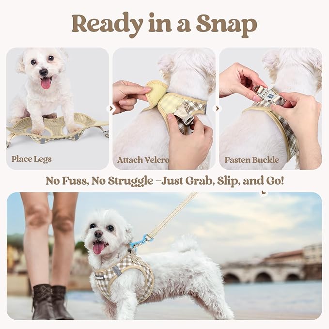 rabbitgoo Dog Harness Small Sized and Leash Set, Step-in Puppy Pet Vest | Light, Soft, Breathable Air Mesh, Easy on and Remove with Hook & Loop, Secure Reflective for Walking, Beige Check XS
