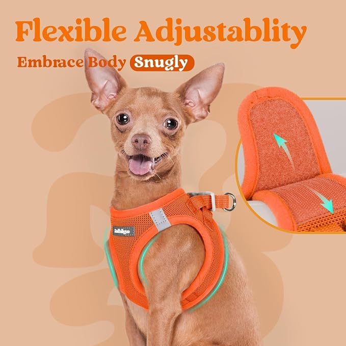 rabbitgoo Step-in Small Dog Harness, Puppy Vest for Small Sized Pet | Easy Put on and off, Lightweight, Soft, Breathable Quick-Dry Air Mesh for Comfortable Secure Walking, Orange S