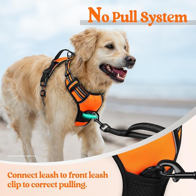 rabbitgoo Dog Harness, No Pull for Large Dogs with 2 Leash Clips, Pet Vest | No Choke with Handle, Adjustable Soft Padded, Reflective, Easy Control for Walking, Orange, Large