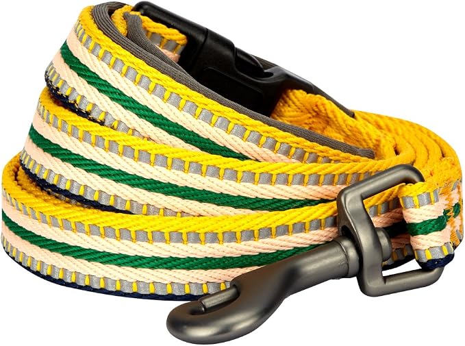 Blueberry Pet 3M Reflective Nylon Dog Leash with Soft Handle, Multi‑Colored Stripe, Yellow & Green, Large
