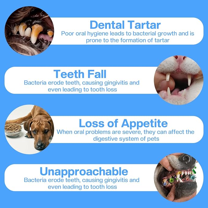 7 Pack Dog Toothbrush Kit,360º Pet Toothbrush Soft Nano Bristles Tooth Brush for Cat Dog Puppy Kitten Dental Care, Oral Hygiene