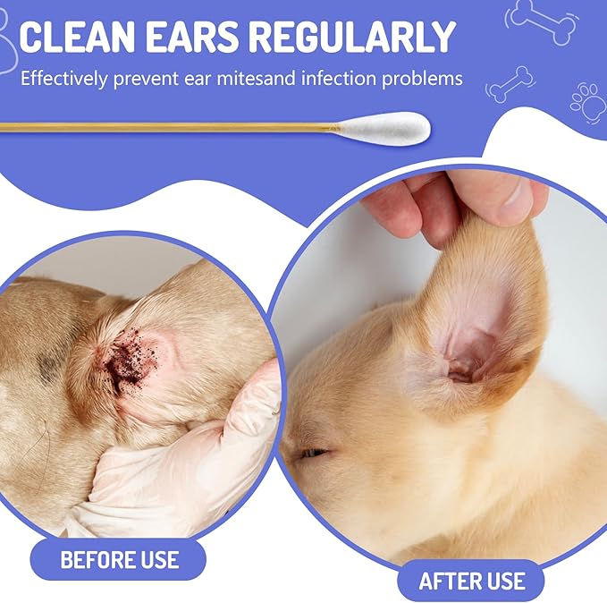 100PCS Large Cotton Swabs in Storage Box, 6 Inch Dog Ear Swabs with Bamboo Handle for Dogs - Soft Cotton, Gentle and Lint-Free, Specially Designed for Dogs, (Large)