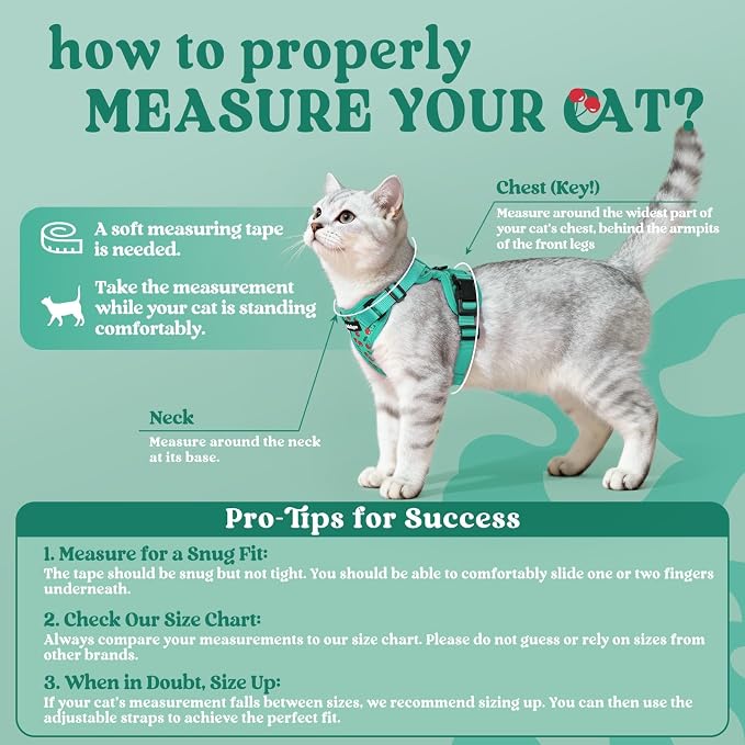 rabbitgoo Cat Harness and Leash Set, Escape Proof Vest, Cherry Grove | Soft Breathable Mesh, Easy Adjustable Fit, Snap Buckles, Sturdy Clip, Reflective Strips, for Medium to Large Cats Walks, M