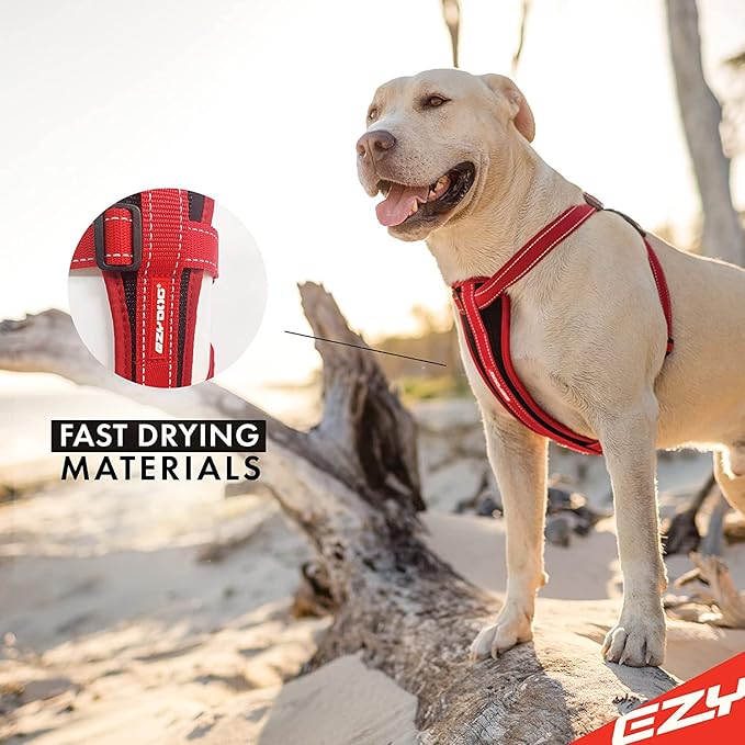 EzyDog Chest Plate No Pull Dog Harness, Escape Proof - Medium, Gray | Car Restraint Included, Comfort EVA Padding, Adjustable for All Breeds, Quick Release Buckles, Reflective Stitching