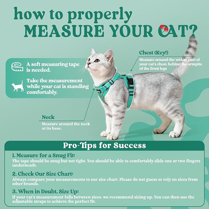 rabbitgoo Cat Harness and Leash Set, Escape Proof Vest, Cherry Grove | Soft Breathable Mesh, Easy Adjustable Fit, Snap Buckles, Sturdy Clip, Reflective Strips, for Kittens & Small Cats Walks, Xxs