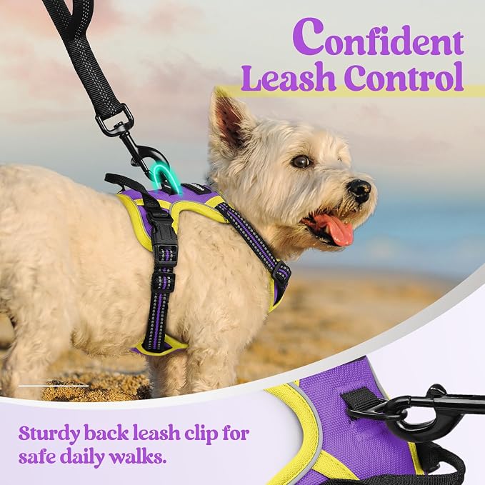 rabbitgoo Dog Harness, No Pull for Small Dogs with 2 Leash Clips, Pet Vest | No Choke with Handle, Adjustable Soft Padded, Reflective, Easy Control for Walking, Purple & Yellow, X-Small