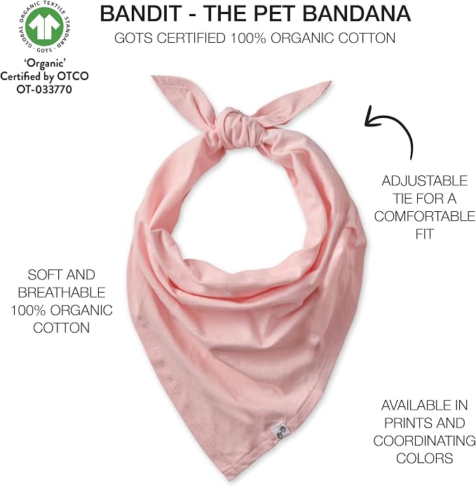 Pet Passion Bandit, X-Small/Small, 2-Pack, Small, Pink