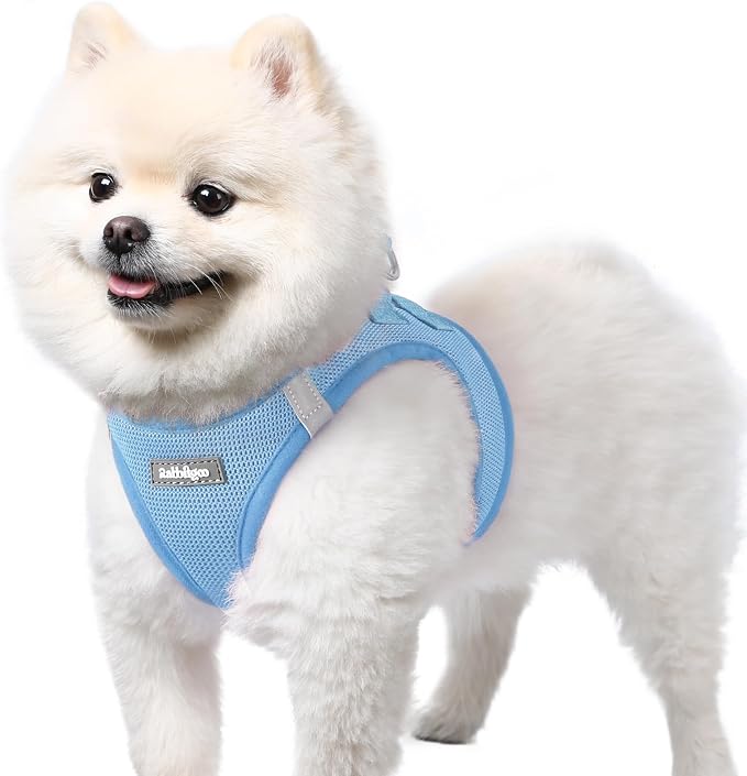 rabbitgoo Step-in Small Dog Harness, Puppy Vest for Small Sized Pet | Easy Put on and off, Lightweight, Soft, Breathable Quick-Dry Air Mesh for Comfortable Secure Walking, Blue S