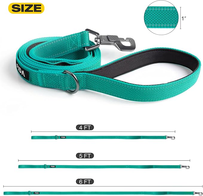 Fida 5 FT Heavy Duty Dog Leash with 2 Comfortable Padded Handles, Traffic Handle & Advanced Easy Snap Hook, Reflective Walking Lead for Large, Medium & Small Breed Dogs, Teal