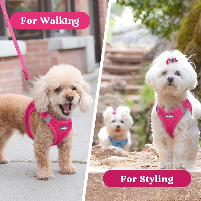 rabbitgoo Step-in Small Dog Harness, Puppy Vest for Small Medium Sized Pet | Easy Put on and off, Lightweight, Soft, Breathable Quick-Dry Air Mesh for Comfortable Secure Walking, Rose Red XL