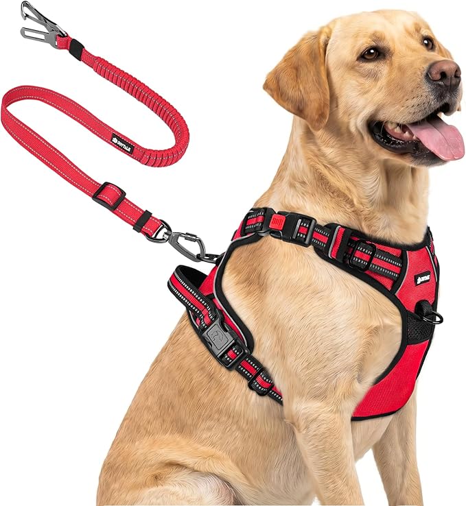 Joytale No Pull Dog Harness & Seat Belt, Easy On 3-Buckle, L, Red | Front Clip Reduces Pulling, Escape-Resistant Design, Adjustable Fit, Soft Padding for Comfort, Secure Tether for Safer Travel