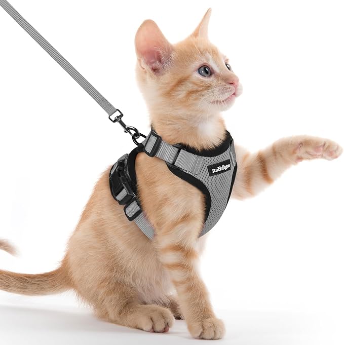 rabbitgoo Cat Harness and Leash Set, Escape Proof Vest, Grey | Soft Breathable Mesh, Easy Adjustable Fit, Snap Buckles, Sturdy Clip, Reflective Strips, for Kittens & Small Cats Walks, Xxs
