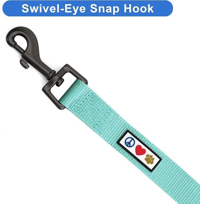 Pawtitas Personalized 6 ft Teal Dog Leash XS/S Custom Name and Phone Embroidery Strong Nylon Leash for Small Breeds