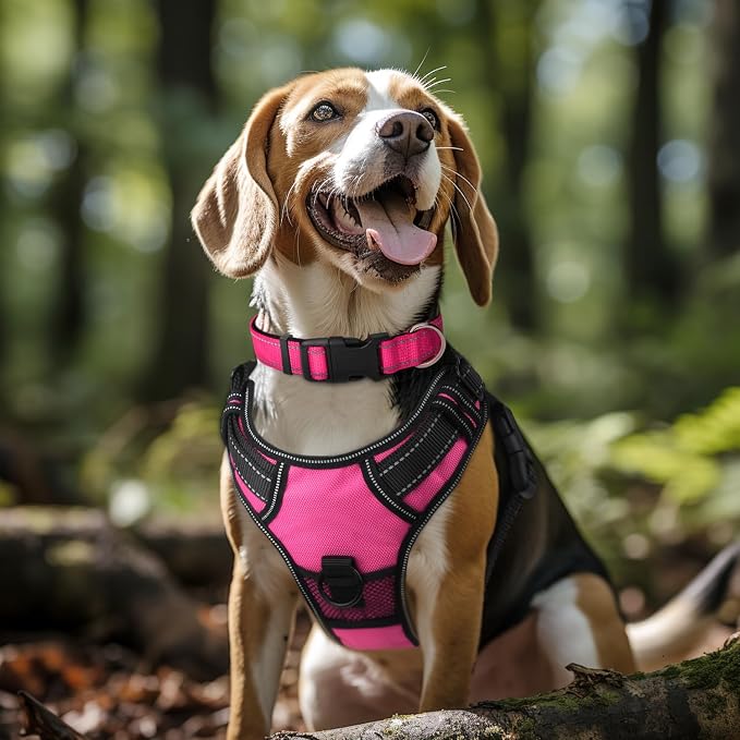 Joytale 6FT1'' Dog Leash and Collar (16-24"), Reflective Soft Neoprene Padded Pet Collars and Leashes for Large Dogs, Hotpink