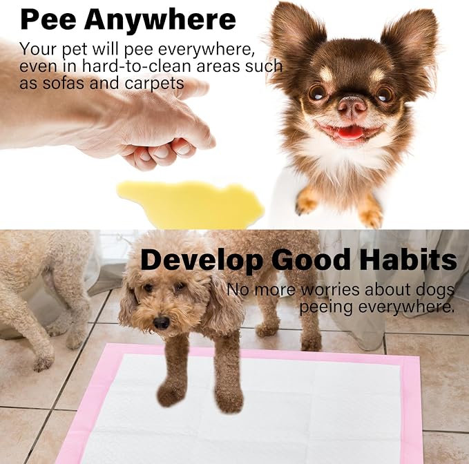 Basics Dog and Puppy Pee Pads with 4-Layer Leak-Proof and Quick-Dry Design for Potty Training, 13” x 17” Ultra Absorbent Disposable Changing Pads for Small Pets -Pink(25 Count)