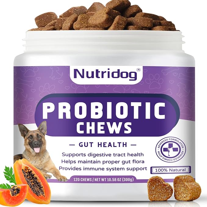 Dog Probiotic Chews 120 Count – 6 Billion CFU, 6 Strains