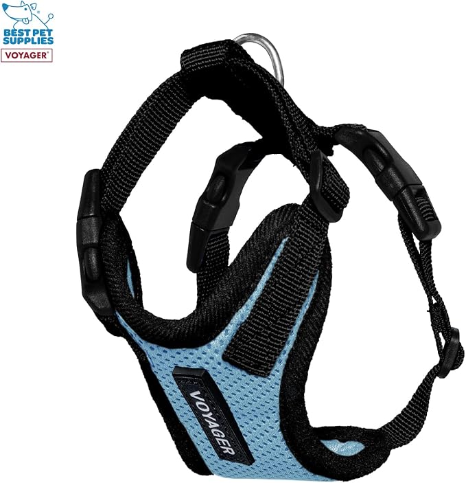 Best Pet Supplies Voyager Step-in Lock Pet Harness w Reflective Pet Leash Combo Set with Neoprene Handle 5ft - Supports Small, Medium and Large Breed Puppies/Cats - Baby Blue/Black Trim, XXXS