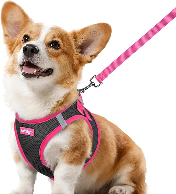 rabbitgoo Dog Harness Small Sized and Leash Set, Step in Soft Vest | Breathable Mesh, Easy Wear with Hook & Loop, Light and Reflective for Walking, Multi-colored, Black & Rose Red, L