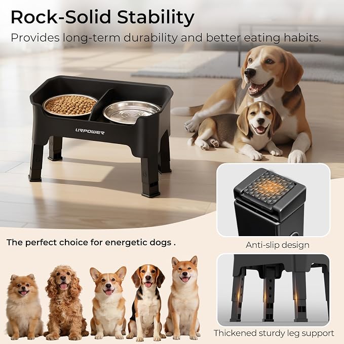URPOWER Mess Proof Elevated Dog Bowls, High Wall Splash Guard Design, 4 Height Adjustable Raised Bowl Stand, 2 Stainless Steel Bowls, Non-Slip Food Water Set for Small, Medium Dogs