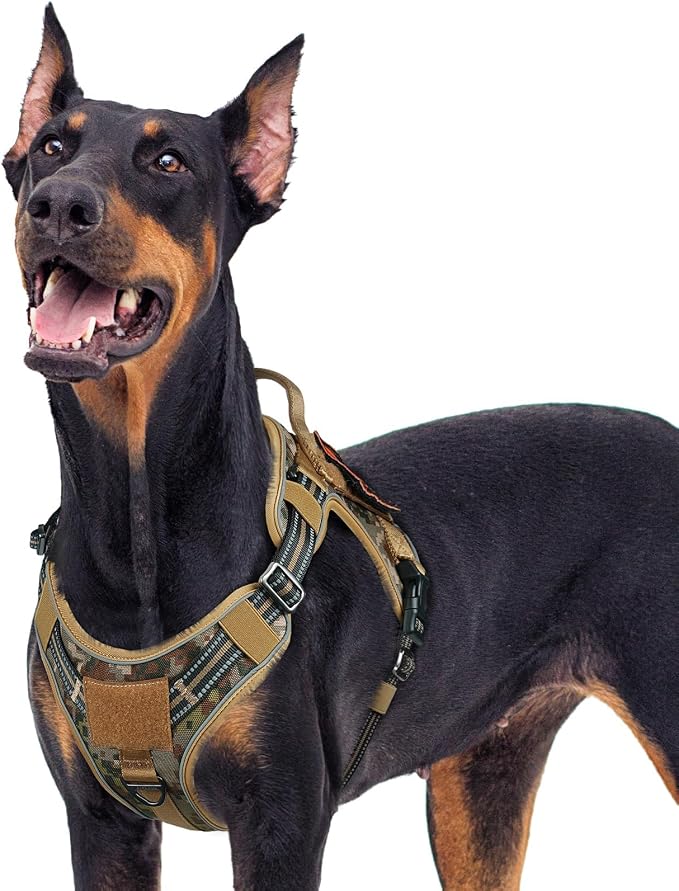 rabbitgoo Tactical Dog Harness for Large Dogs, No Pull Service Pet Vest | Military Molle System & Easy Control Handle, Adjustable and Reflective for Walking and Training, Desert Camo, X-Large