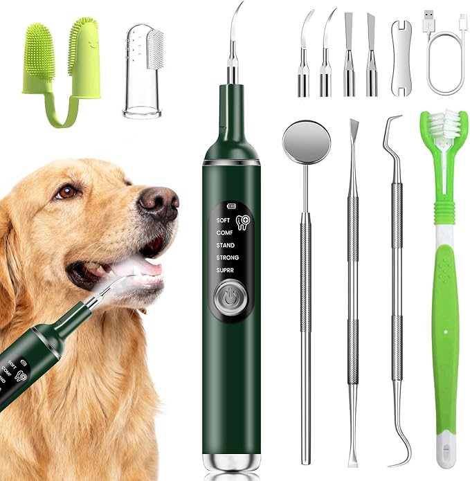 Dog Plaque Remover for Teeth,Pet Ultrasonic Tooth Cleaner with LED Light,Cleaning Kit for Tartar and Stains,5 Adjustable Modes,Pet Teeth Cleaning kit,Suitable for Dogs and Cats (Green) | dog teeth cleaning,plaque remover for teeth,dog tartar and plaque...