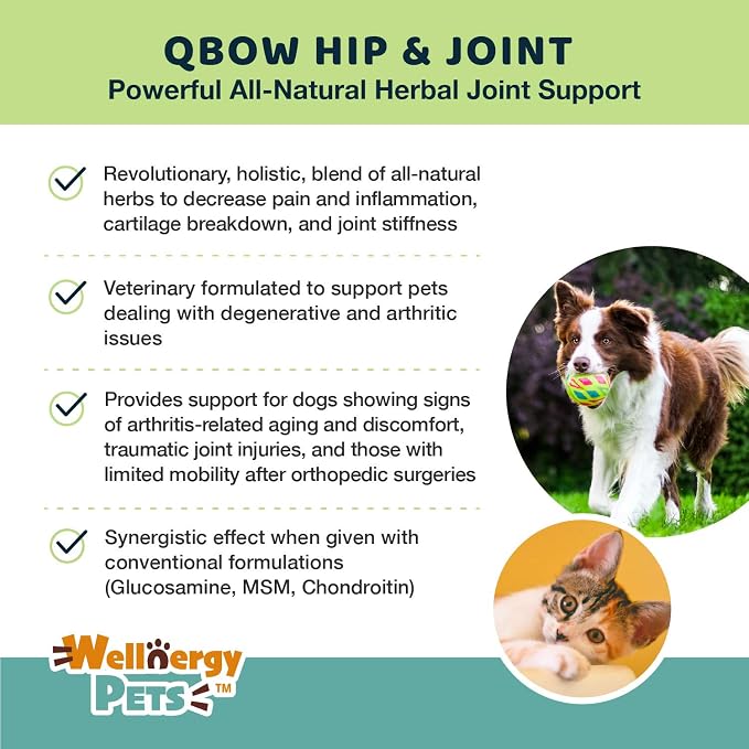 Natural Herbal Hip & Joint Supplements for Dogs & Cats – Holistic All-Natural Herb Blend Joint Supplement Aids Pets with Arthritis, Joint Stiffness, Inflammation, Cartilage Breakdown Pain Relief. 60ct