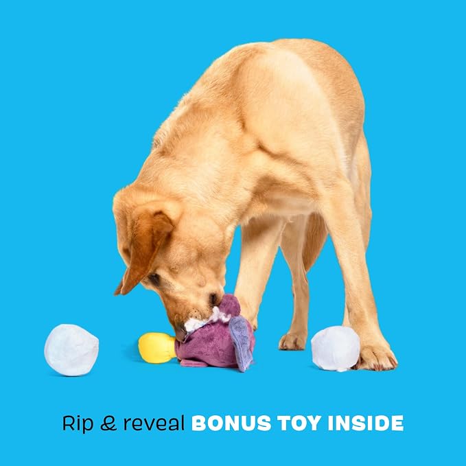 BarkBox Drongo Platypus Dog Toy - for Small to Medium Dogs | Plush Rip & Reveal Toy with Whip-N-Flip Tail, 2 Squeakers & Hidden Bonus Toys Inside