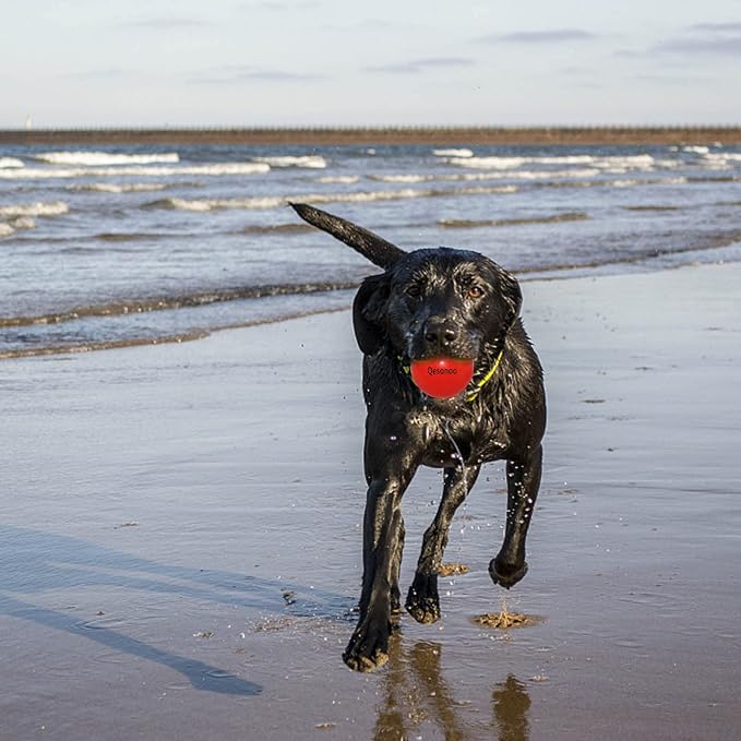 Dog Balls Indestructible, Solid Rubber Bouncy, Large Breed, Red