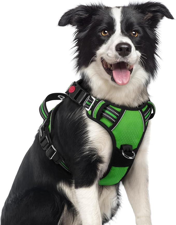 rabbitgoo Dog Harness Medium Sized, No Pull 3 Buckles Easy On & Off | Soft Padded, Walking with Control Handle, Adjustable and Reflective, Green, Medium