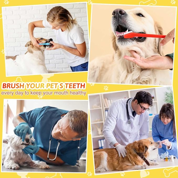 Eaasty 300 Pcs Dog Toothbrush Bulk Dual Headed Dental Brushes Puppy Tooth Brushing Kit Long Handle Toothbrush for Large Small Dogs Cats Puppy Teeth Cleaning Oral Dental Care Supplies 10 Colors