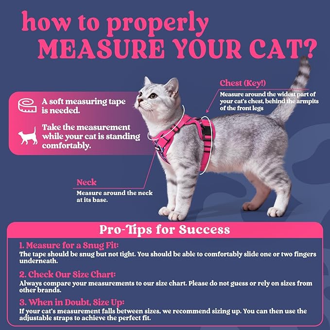 rabbitgoo Cat Harness and Leash Set, Escape Proof Vest, Coconut Fuchsia | Soft Breathable Mesh, Easy Adjustable Fit, Snap Buckles, Sturdy Clip, Reflective Strips, for Kittens & Small Cats Walks, Xxs