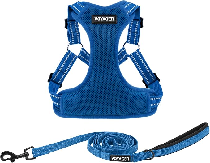 Best Pet Supplies Voyager Adjustable Step-in Flex Breathable Mesh Dog Harness for Small Medium Large Dogs Leash Set (Royal Blue), XL